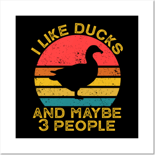 I Like Ducks And Maybe Like 3 People Posters and Art